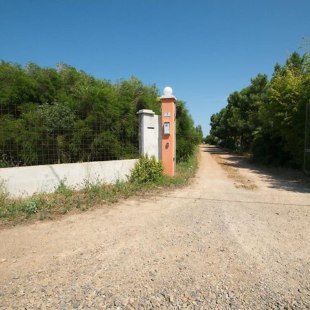 Penzion Fattoria Corte Noa Masainas Exteriér fotografie